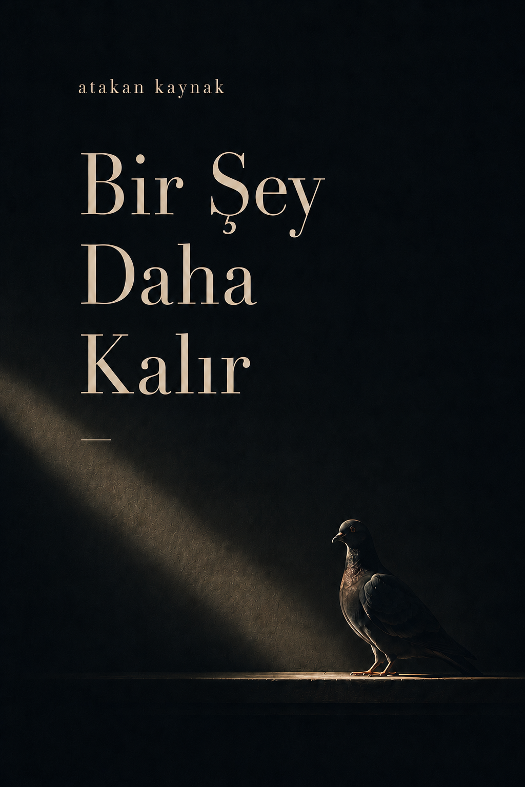 bir şey daha kalır